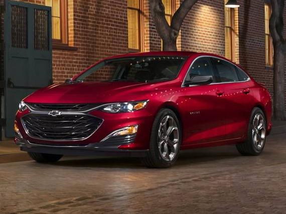 CHEVROLET MALIBU 2019 1G1ZB5ST3KF195767 image