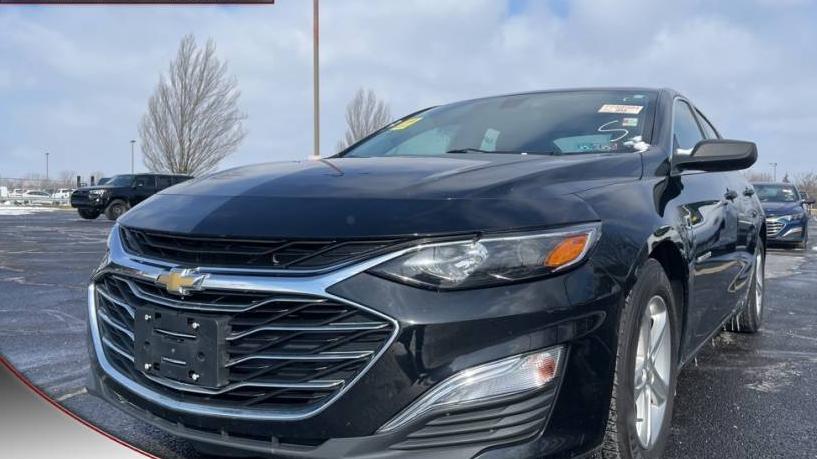 CHEVROLET MALIBU 2019 1G1ZC5ST9KF172135 image