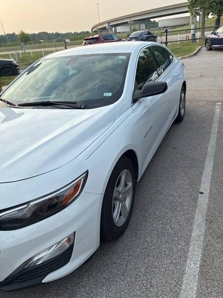 CHEVROLET MALIBU 2019 1G1ZB5ST7KF217186 image