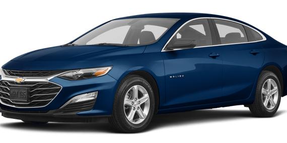 CHEVROLET MALIBU 2019 1G1ZB5ST0KF203808 image