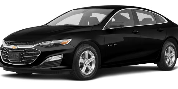 CHEVROLET MALIBU 2019 1G1ZB5ST1KF216521 image