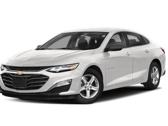 CHEVROLET MALIBU 2019 1G1ZB5ST3KF222028 image