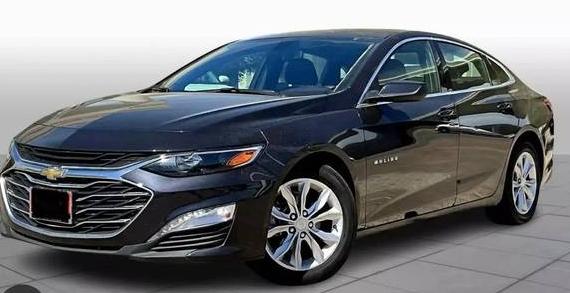 CHEVROLET MALIBU 2019 1G1ZD5ST3KF177571 image