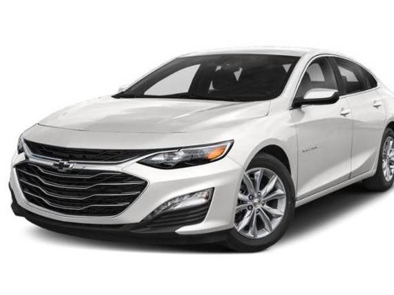 CHEVROLET MALIBU 2019 1G1ZD5ST5KF109675 image