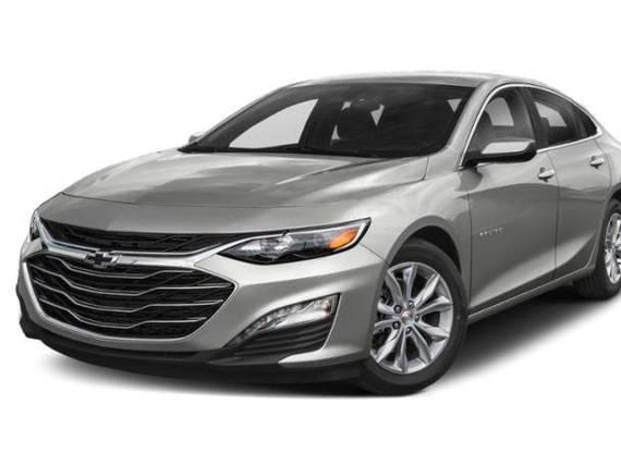 CHEVROLET MALIBU 2019 1G1ZD5ST5KF170945 image