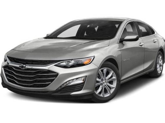 CHEVROLET MALIBU 2019 1G1ZG5ST9KF192874 image