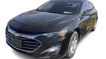 CHEVROLET MALIBU 2019 1G1ZB5ST6KF202176 image