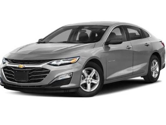 CHEVROLET MALIBU 2019 1G1ZB5ST0KF130178 image
