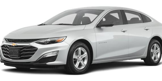 CHEVROLET MALIBU 2019 1G1ZB5STXKF225427 image