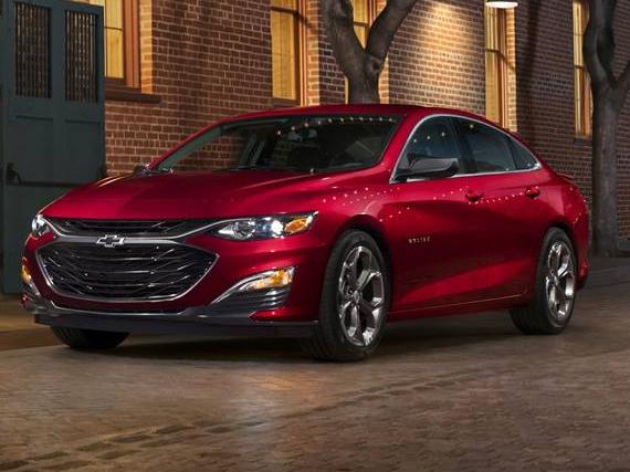 CHEVROLET MALIBU 2019 1G1ZB5ST8KF176583 image