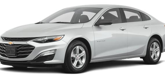 CHEVROLET MALIBU 2019 1G1ZB5STXKF156156 image