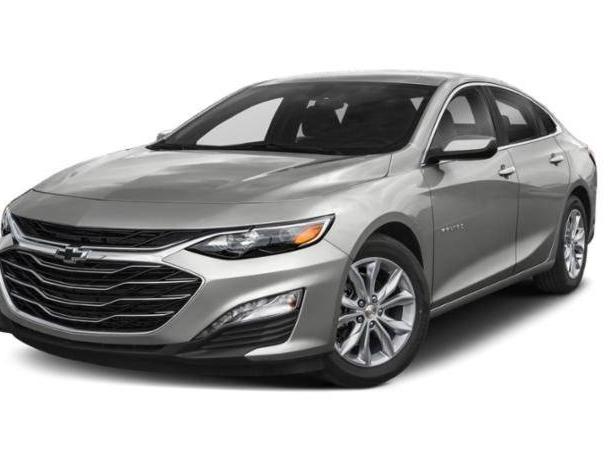 CHEVROLET MALIBU 2019 1G1ZG5ST8KF185592 image