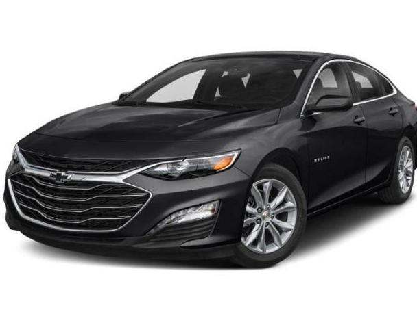 CHEVROLET MALIBU 2019 1G1ZG5ST8KF199444 image