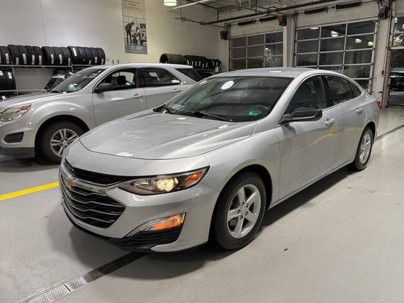 CHEVROLET MALIBU 2019 1G1ZB5ST9KF200776 image CHEVROLET MALIBU 2019 1G1ZB5ST9KF200776 image