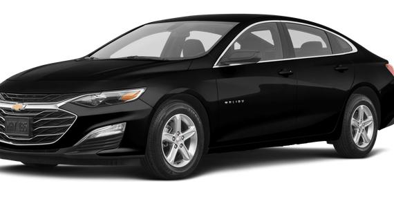 CHEVROLET MALIBU 2019 1G1ZG5ST4KF213744 image