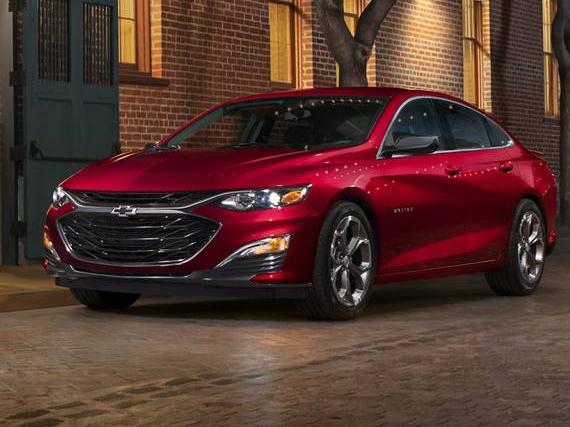 CHEVROLET MALIBU 2019 1G1ZE5SX2KF172555 image CHEVROLET MALIBU 2019 1G1ZE5SX2KF172555 image