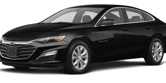 CHEVROLET MALIBU 2019 1G1ZF5SU9KF150703 image
