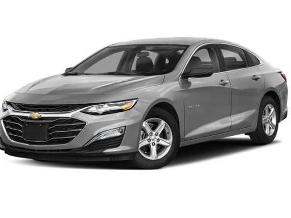 CHEVROLET MALIBU 2019 1G1ZB5ST4KF203939 image
