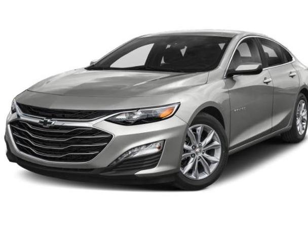 CHEVROLET MALIBU 2019 1G1ZG5STXKF172309 image