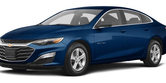 CHEVROLET MALIBU 2019 1G1ZG5ST1KF195493 image