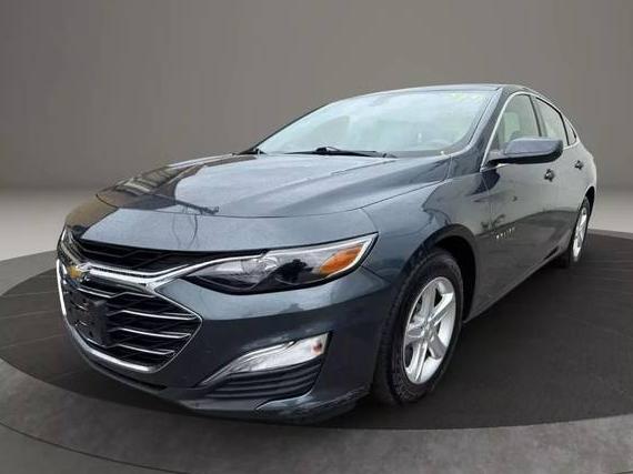 CHEVROLET MALIBU 2019 1G1ZC5STXKF134395 image