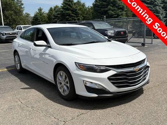 CHEVROLET MALIBU 2019 1G1ZD5ST7KF111833 image
