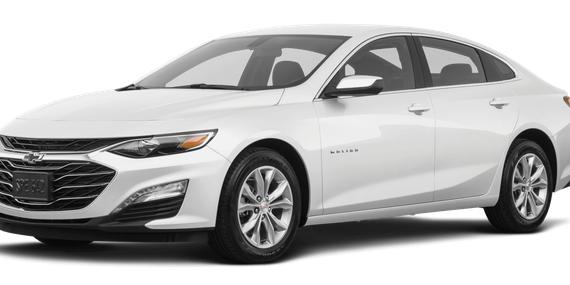 CHEVROLET MALIBU 2019 1G1ZF5SU7KF206993 image