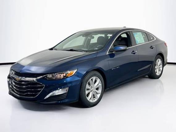 CHEVROLET MALIBU 2019 1G1ZF5SU1KF179676 image
