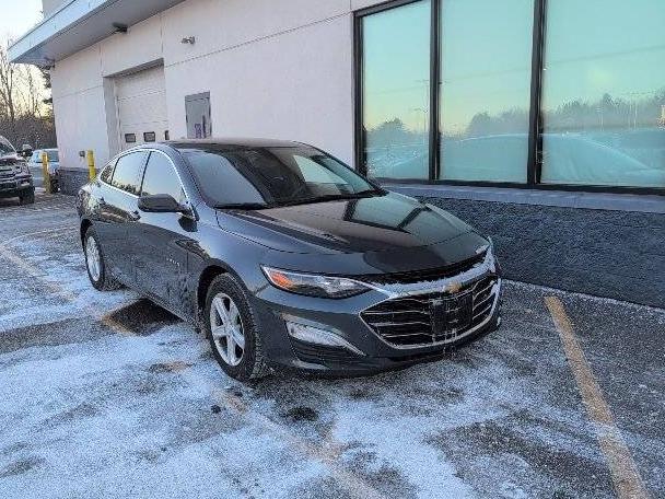 CHEVROLET MALIBU 2019 1G1ZC5ST6KF168219 image