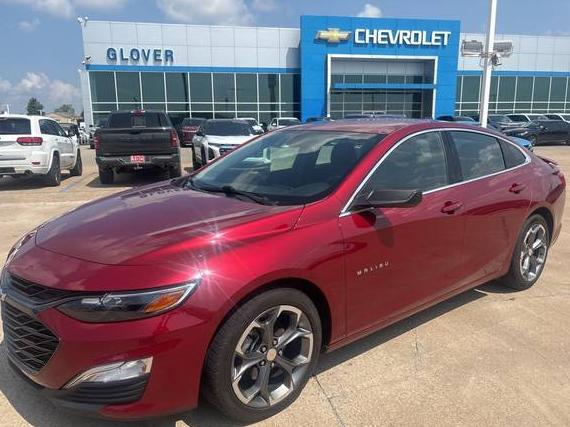 CHEVROLET MALIBU 2019 1G1ZG5ST8KF172535 image