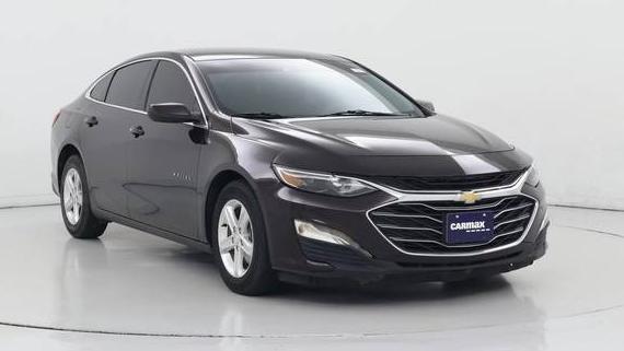 CHEVROLET MALIBU 2021 1G1ZB5ST4MF078735 image