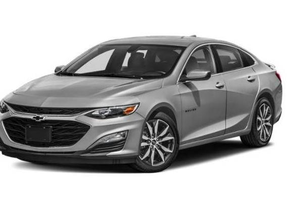 CHEVROLET MALIBU 2021 1G1ZG5ST1MF081982 image
