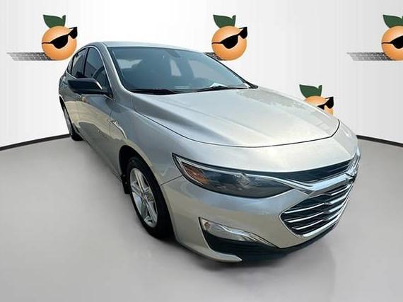 CHEVROLET MALIBU 2021 1G1ZB5ST7MF053098 image