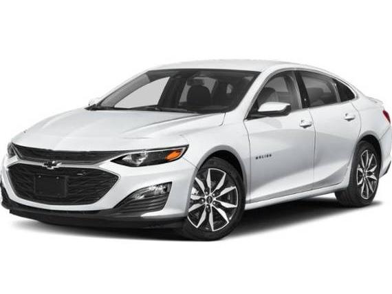 CHEVROLET MALIBU 2024 1G1ZG5ST3RF110941 image