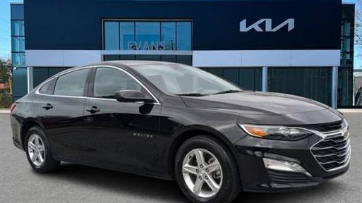 CHEVROLET MALIBU 2024 1G1ZD5ST1RF119209 image