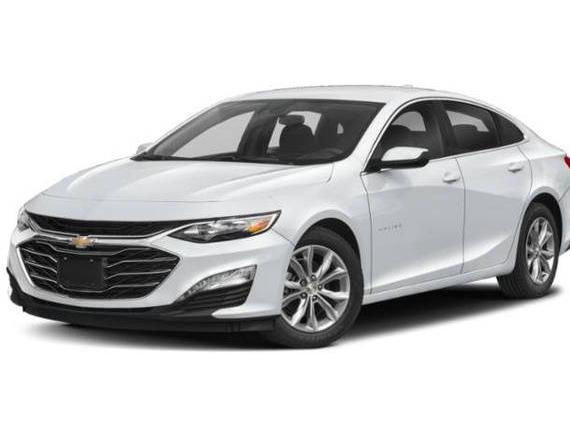 CHEVROLET MALIBU 2024 1G1ZD5ST3RF126016 image