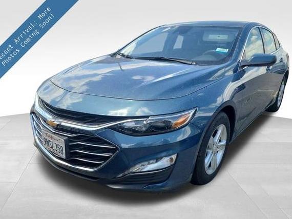 CHEVROLET MALIBU 2024 1G1ZD5STXRF197407 image