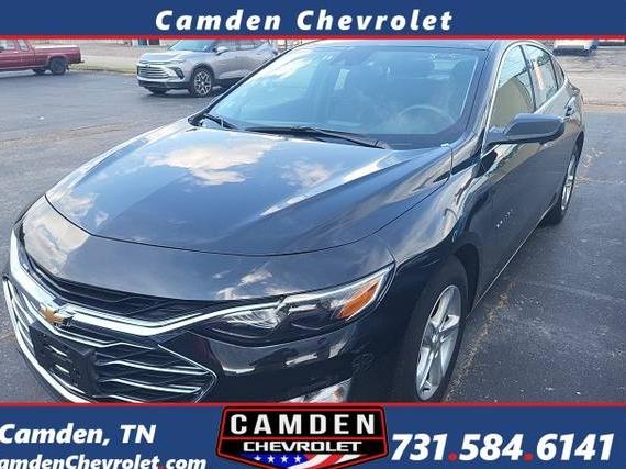 CHEVROLET MALIBU 2024 1G1ZD5STXRF203559 image