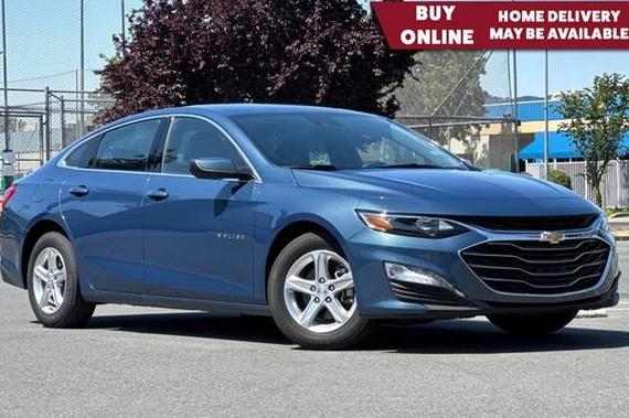 CHEVROLET MALIBU 2024 1G1ZD5ST1RF207550 image