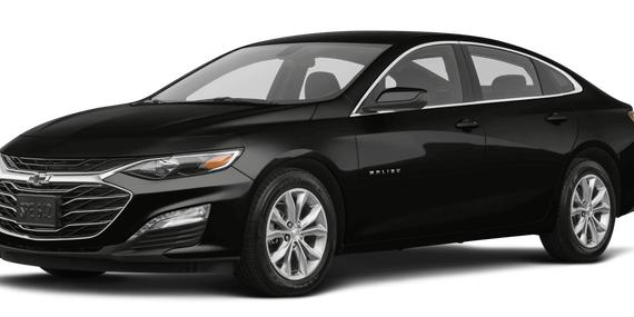CHEVROLET MALIBU 2024 1G1ZE5ST7RF238444 image