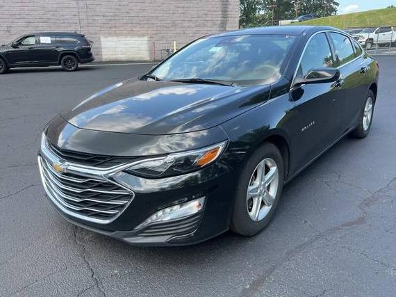CHEVROLET MALIBU 2024 1G1ZD5ST3RF128073 image