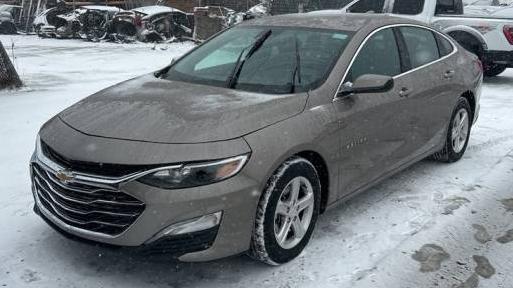 CHEVROLET MALIBU 2024 1G1ZD5ST7RF168687 image