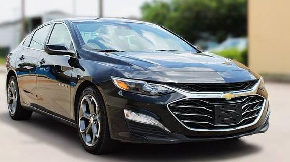 CHEVROLET MALIBU 2024 1G1ZD5STXRF173513 image