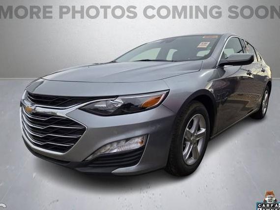 CHEVROLET MALIBU 2024 1G1ZD5ST1RF162173 image