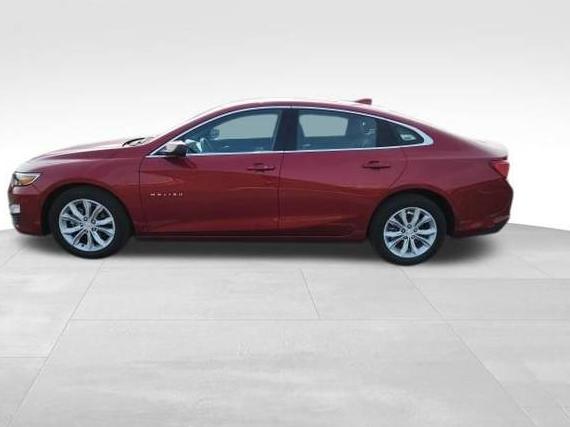 CHEVROLET MALIBU 2024 1G1ZD5ST8RF153146 image