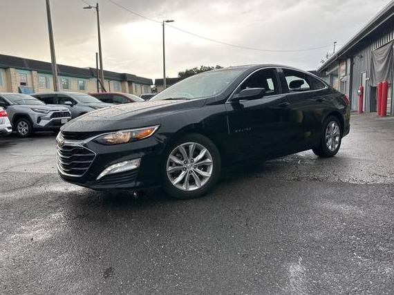 CHEVROLET MALIBU 2024 1G1ZD5ST8RF144463 image