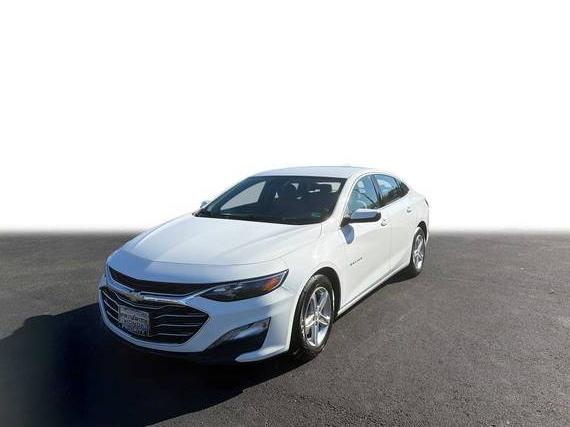 CHEVROLET MALIBU 2024 1G1ZD5ST7RF121174 image CHEVROLET MALIBU 2024 1G1ZD5ST7RF121174 image