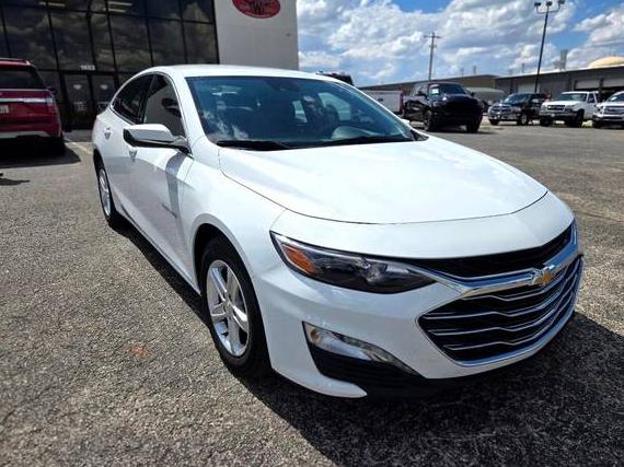 CHEVROLET MALIBU 2024 1G1ZD5ST1RF111305 image