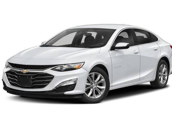 CHEVROLET MALIBU 2024 1G1ZD5ST6RF117309 image