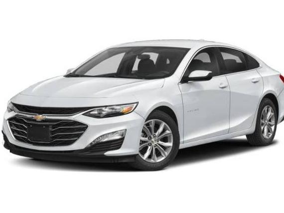 CHEVROLET MALIBU 2024 1G1ZD5STXRF165167 image